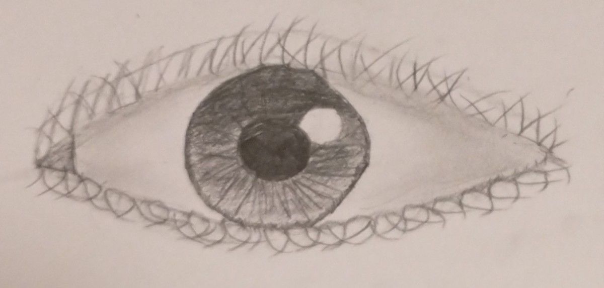 Eyes